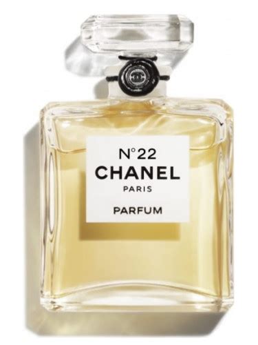 chanel 22 fragrance|where to buy Chanel 22.